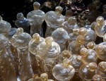 soft-corals soft-corals