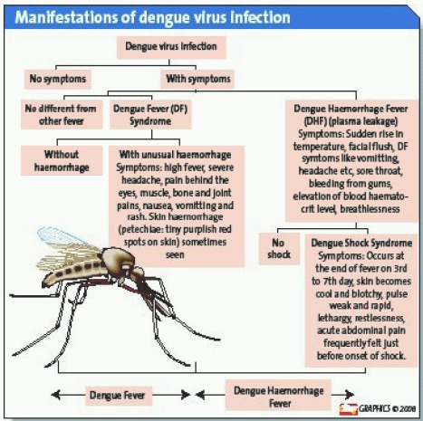 Left party declares all-out war vs. dengue | Blog Watch Citizen Media