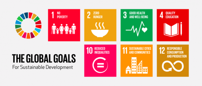 sdg-1